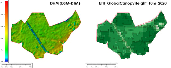 DHM vs. GLOBAL CANOPY HEIGHT