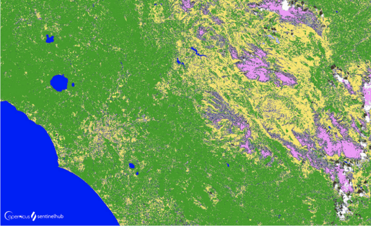 Figure 1 - Classifying Sentinel-2 in Copernicus Browser 
