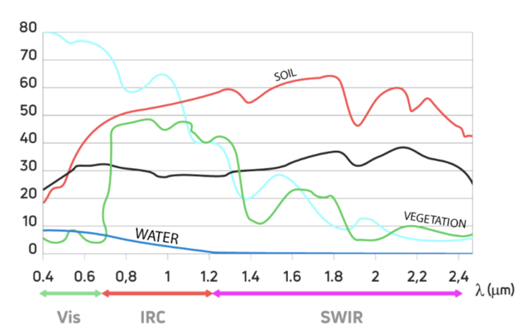 Figure 2 - Some representative spectral signatures 
